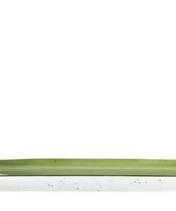 Peill+Putzler Platte L Genua | Grün / Weiß Platte L 12 Peill+Putzler Platte L Genua | Grün / Weiß Platte L -Geschirr Verkaufsladen 11524907 3 202206271233